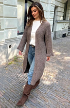 Long Taupe Coat